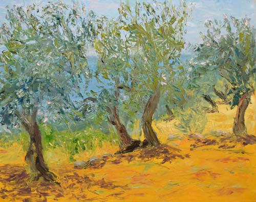 Olive Trees at New Kidonia
